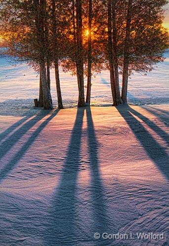 Sunrise Shadows_20992.jpg - Photographed near Smiths Falls, Ontario, Canada.